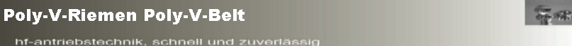 Poly-V-Riemen Poly-V-Belt